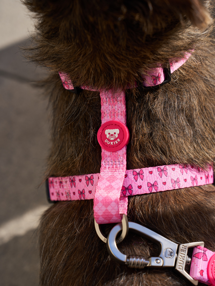 COQUETTE CLASSIC DOG HARNESS