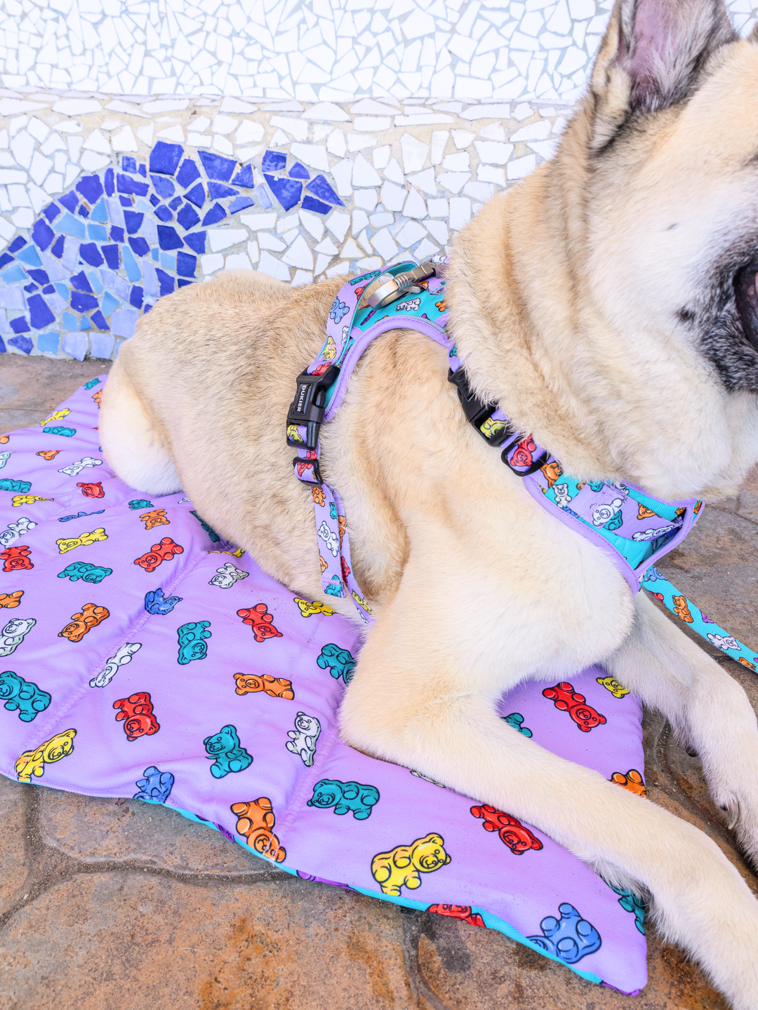 ROLL UP PET MAT: GUMMY BEARS