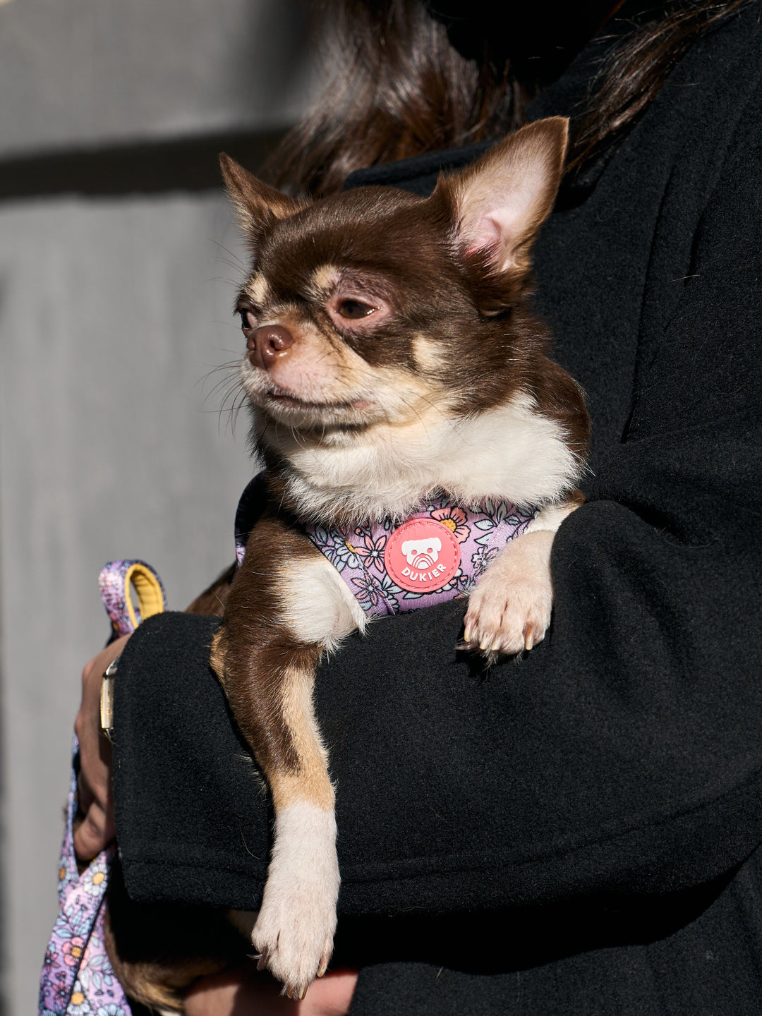 DOG BODY HARNESS FLOWER POWER