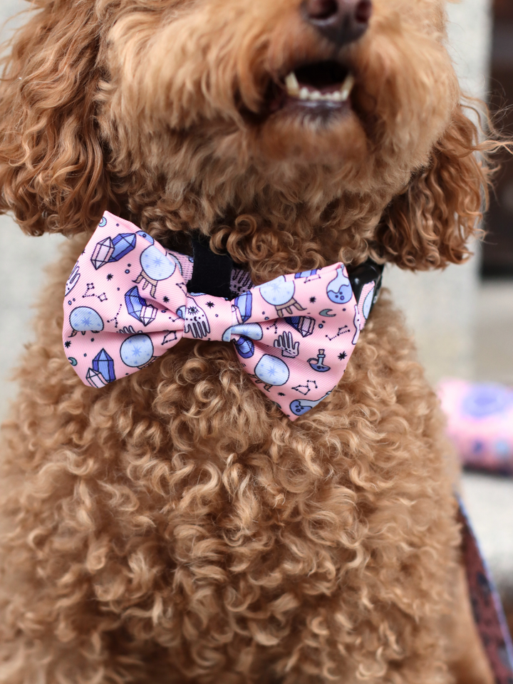 MYSTIC BOW TIE FOR DOGS