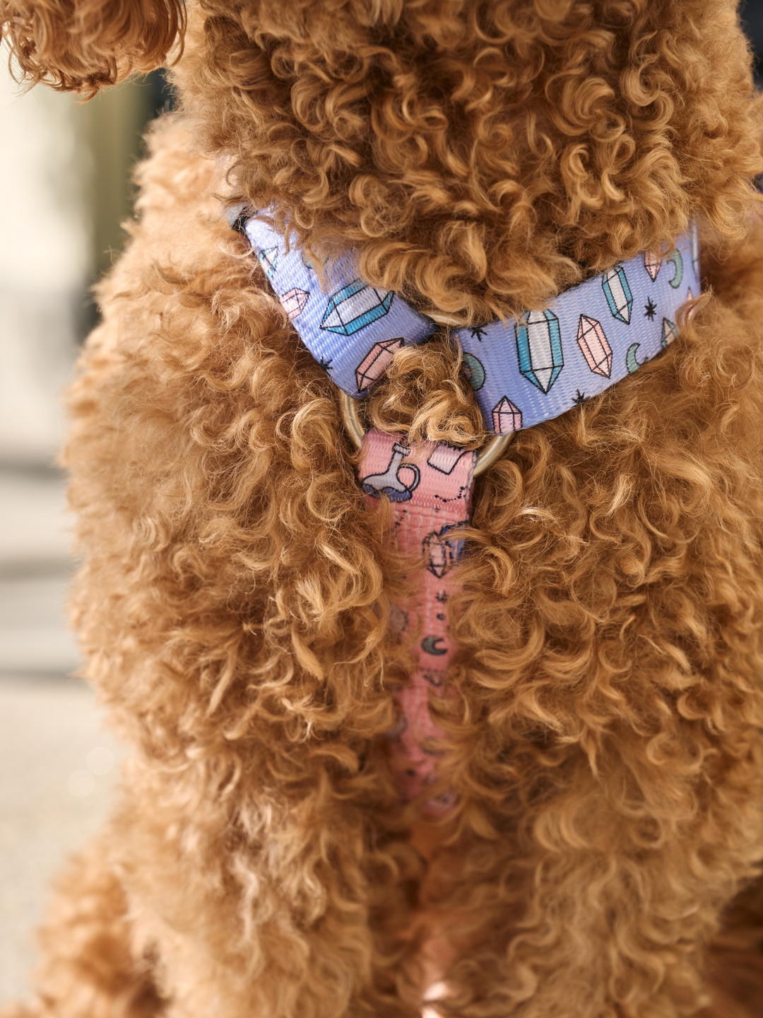 MYSTIC CLASSIC DOG HARNESS