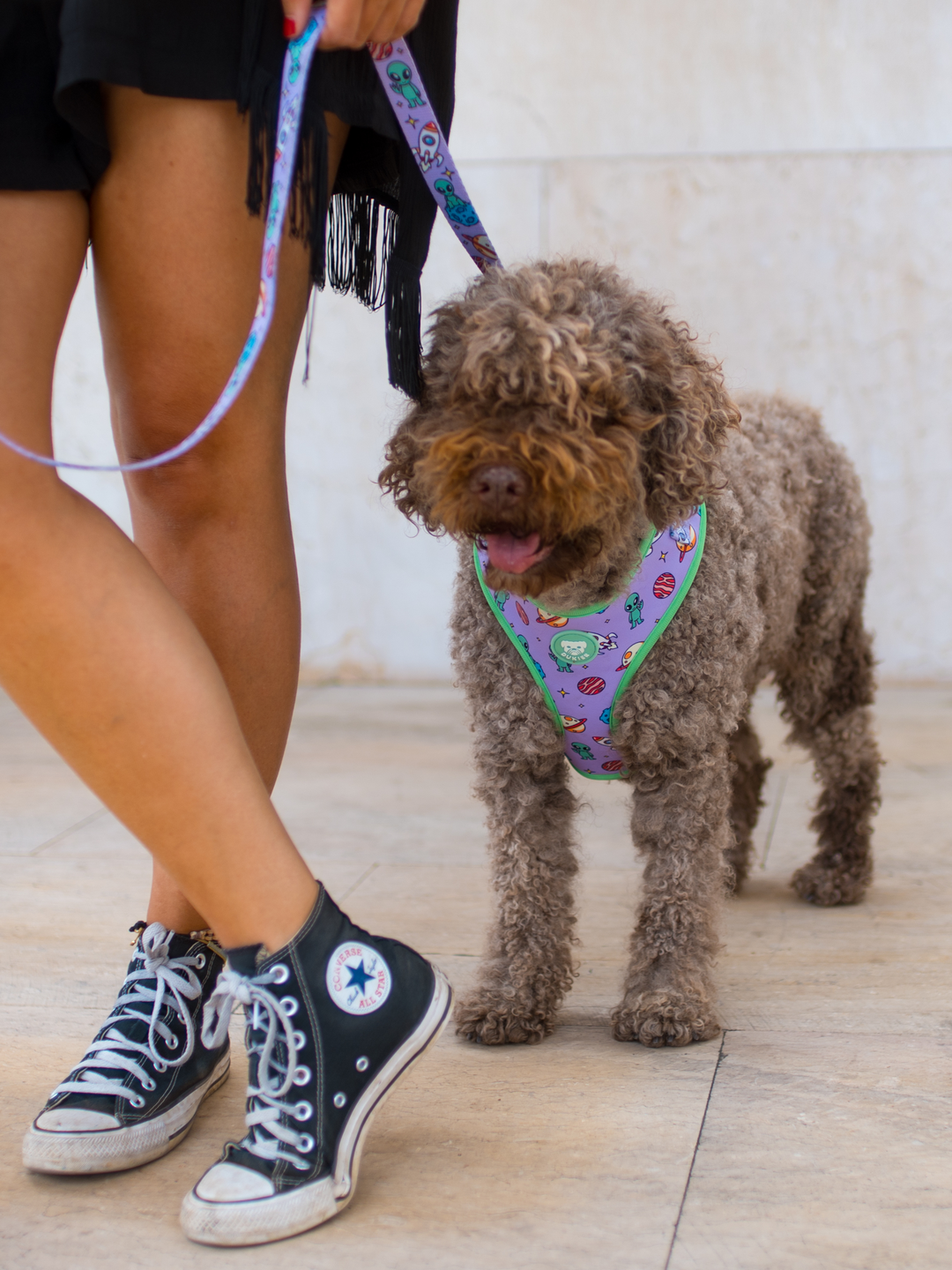 PETTORINA REGOLABILE PER CANE ALIEN