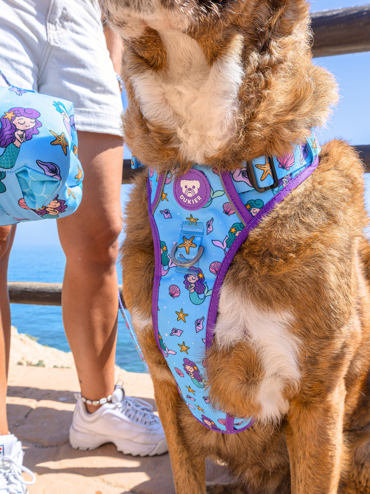 TRAIL DOG HARNESS MERMAID