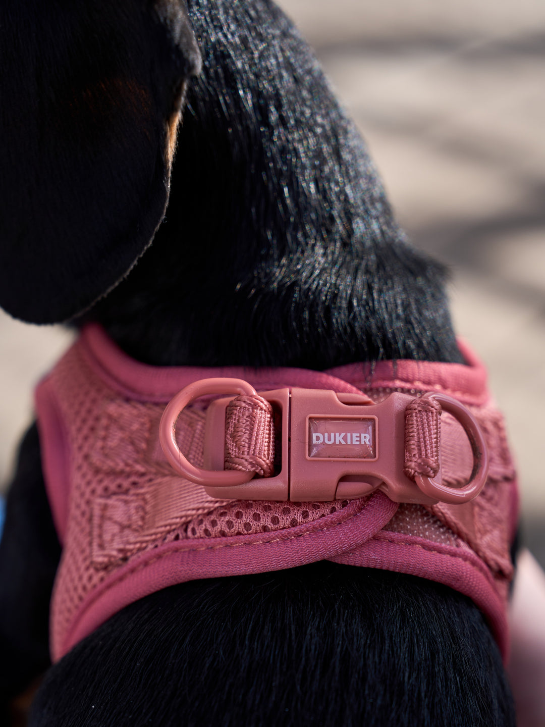 DOG BODY HARNESS TERRACOTA