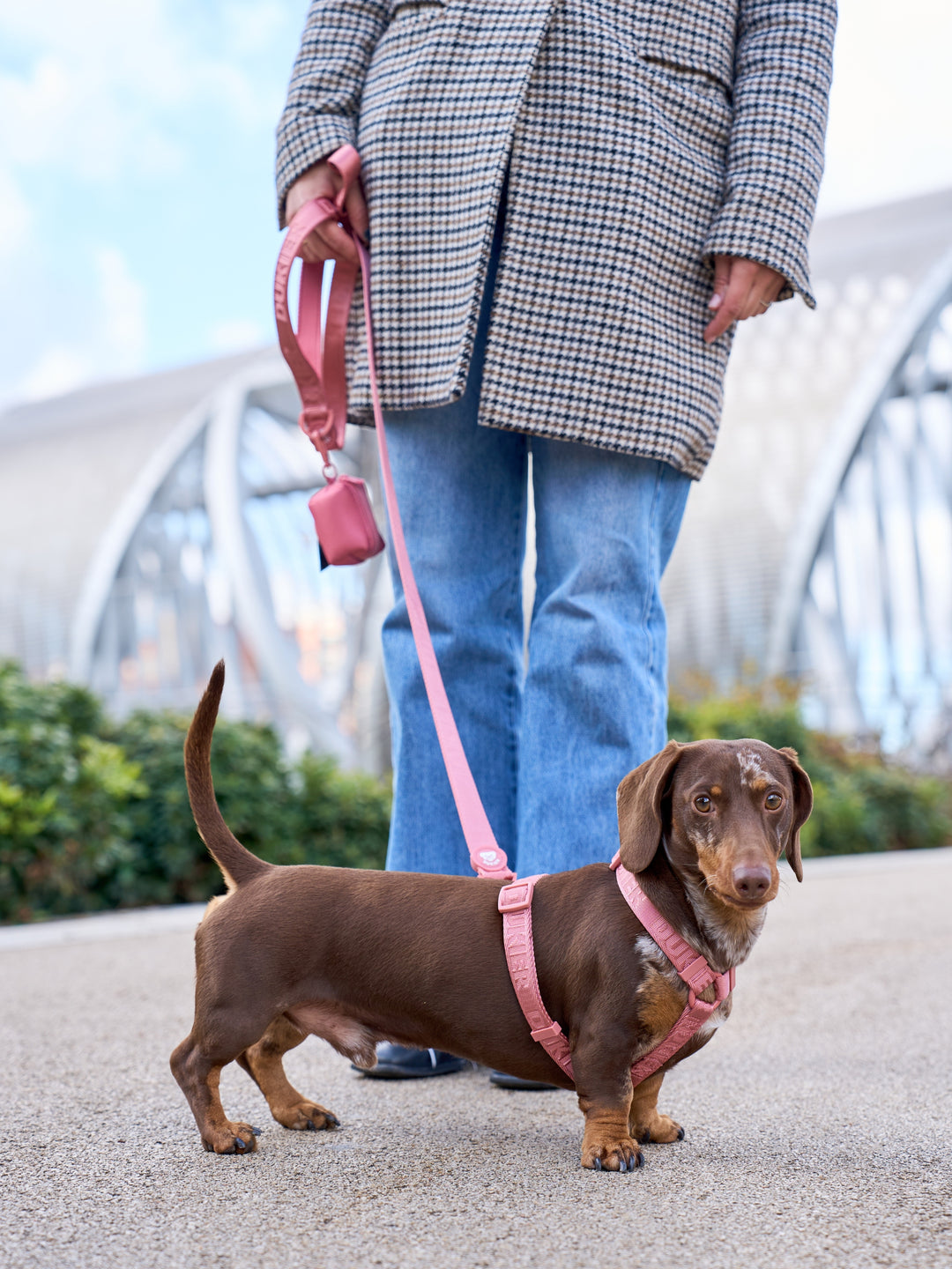 LEASH FOR DOGS TERRACOTA