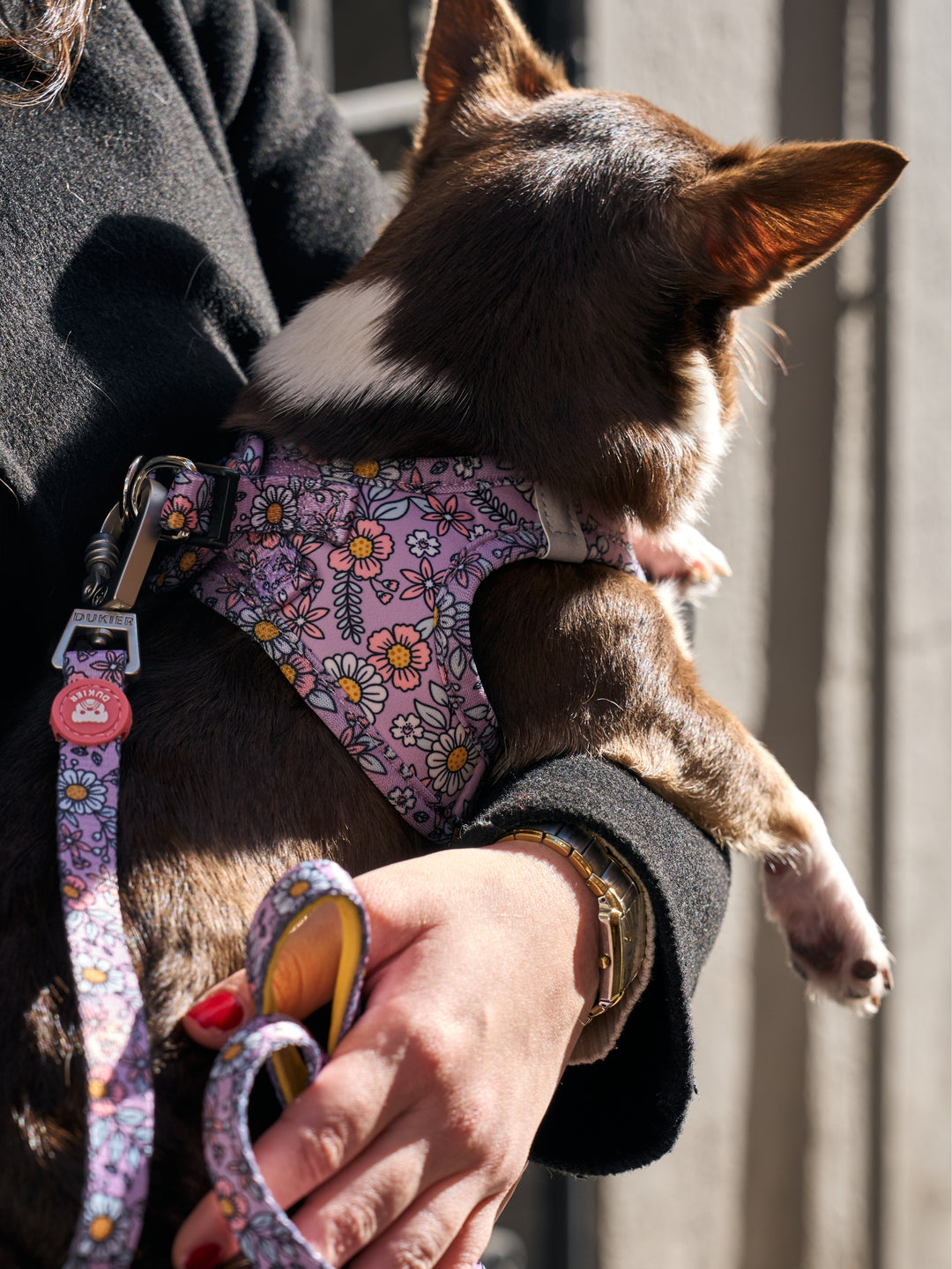 DOG BODY HARNESS FLOWER POWER