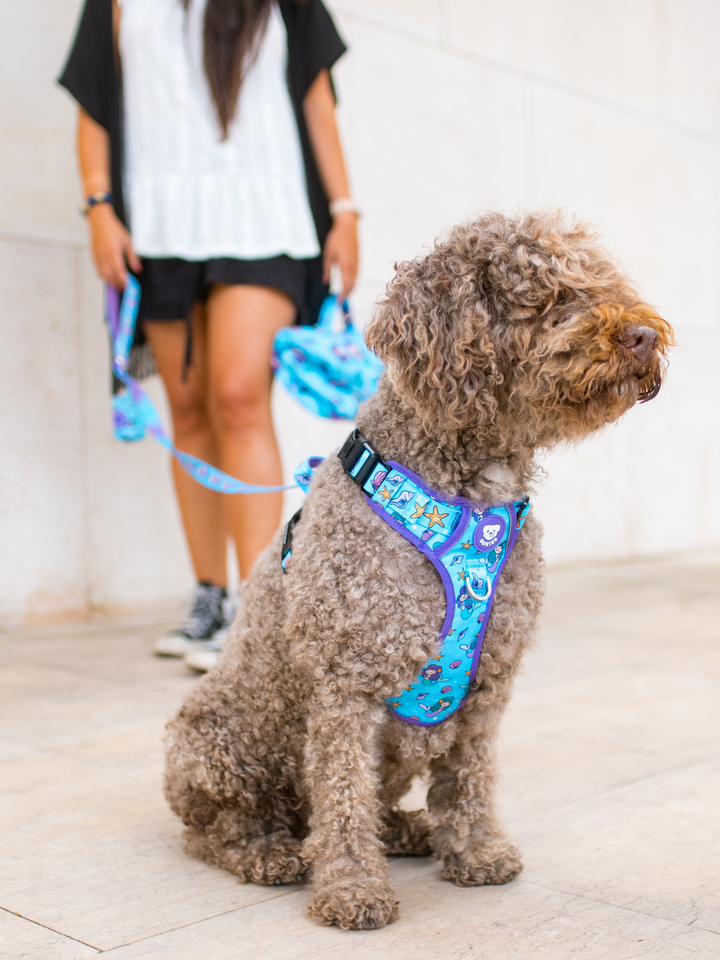 TRAIL DOG HARNESS MERMAID