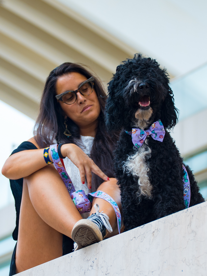 NOEUD PAPILLON ALIEN POUR CHIEN