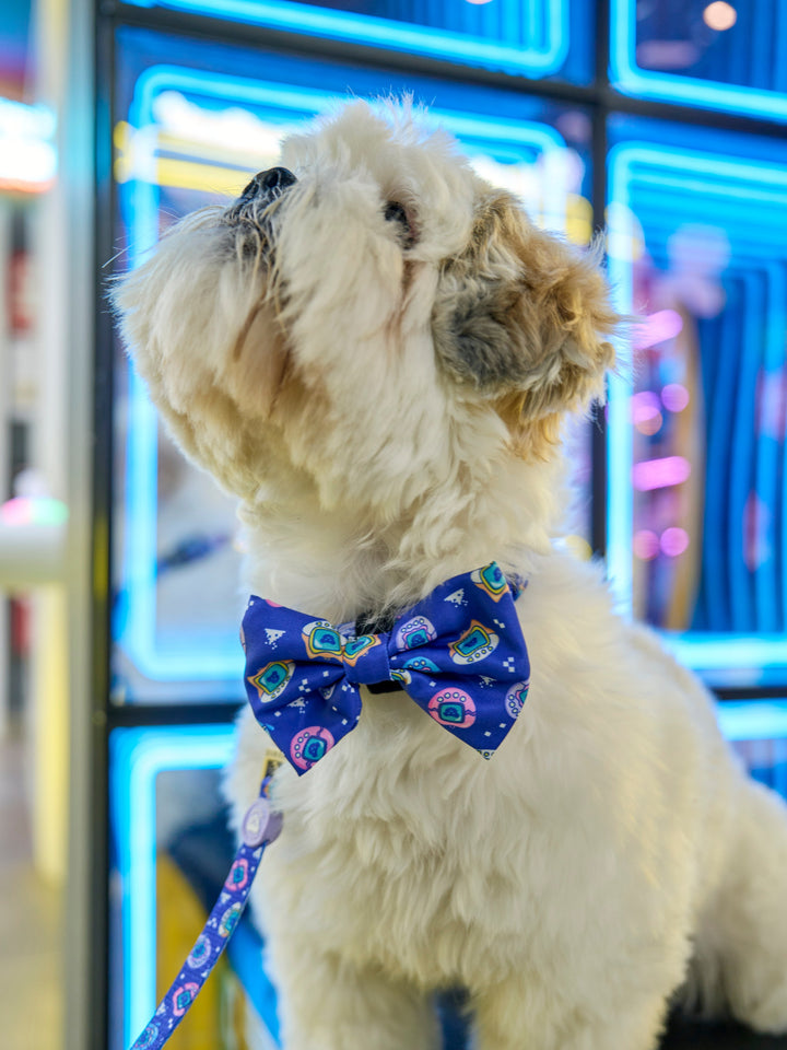 DUKIGOTCHIS BOW TIE FOR DOGS