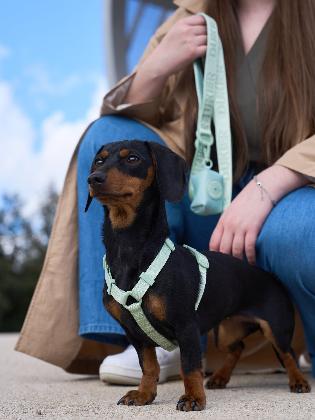 CLASSIC DOG HARNESS SOFT GREEN