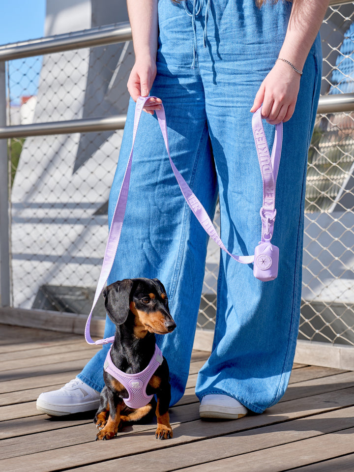 LEASH FOR DOGS VIOLET