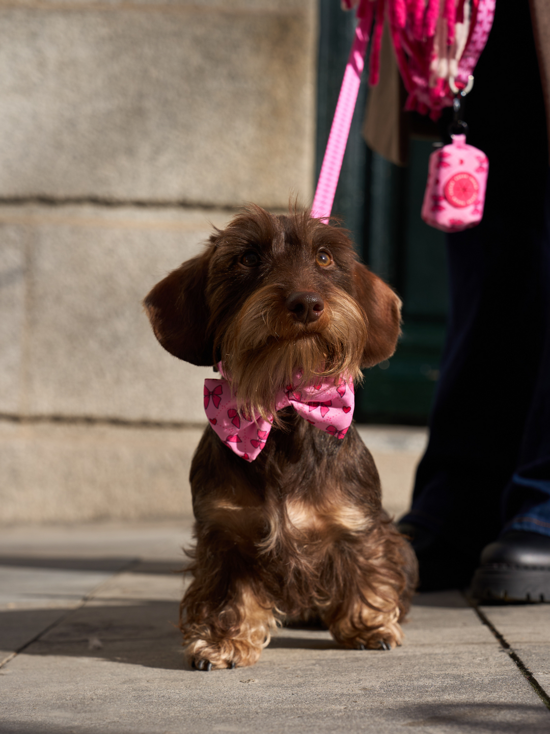 COQUETTE BOW TIE FOR DOGS