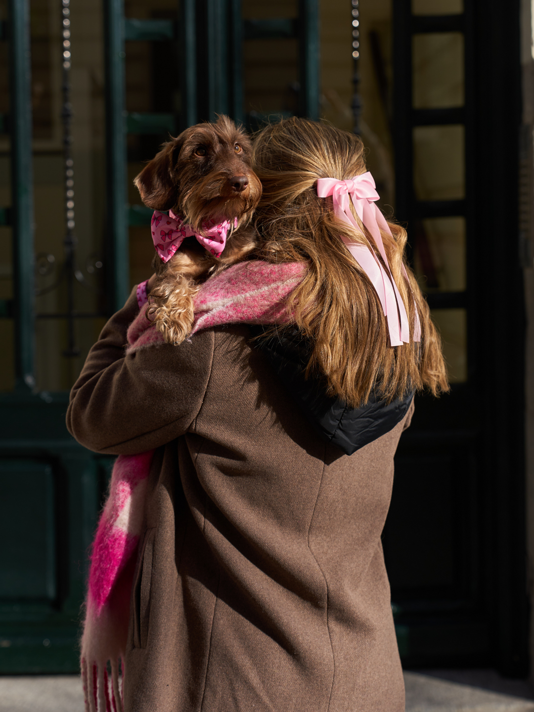 PAPILLON PER CANI COQUETTE