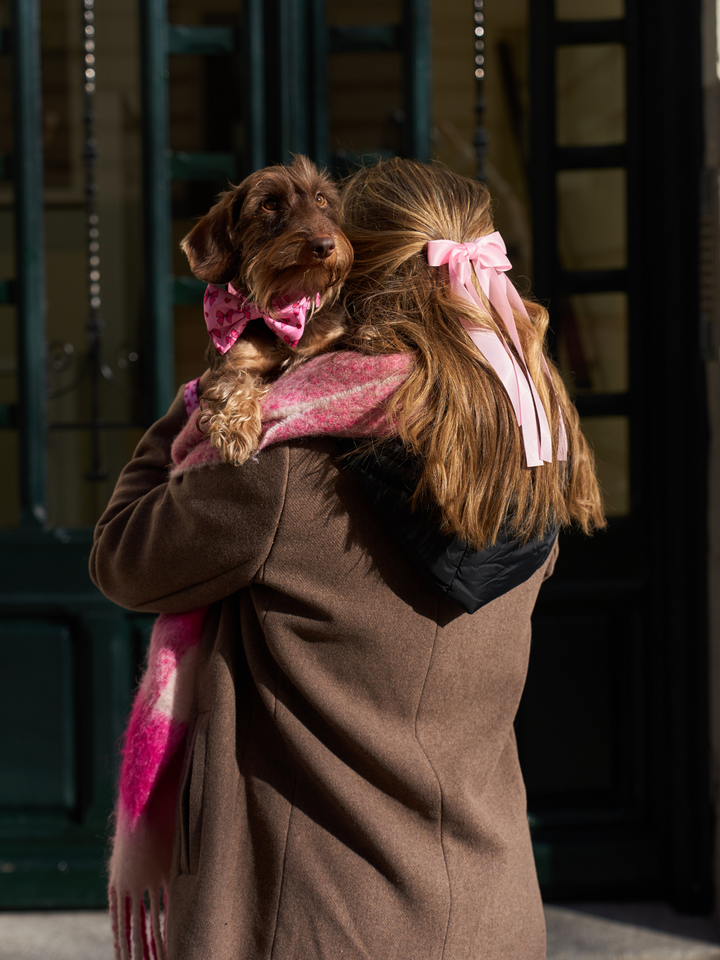 COQUETTE BOW TIE FOR DOGS