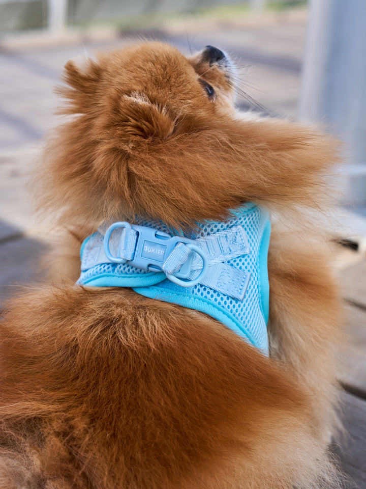 DOG BODY HARNESS SOFT BLUE