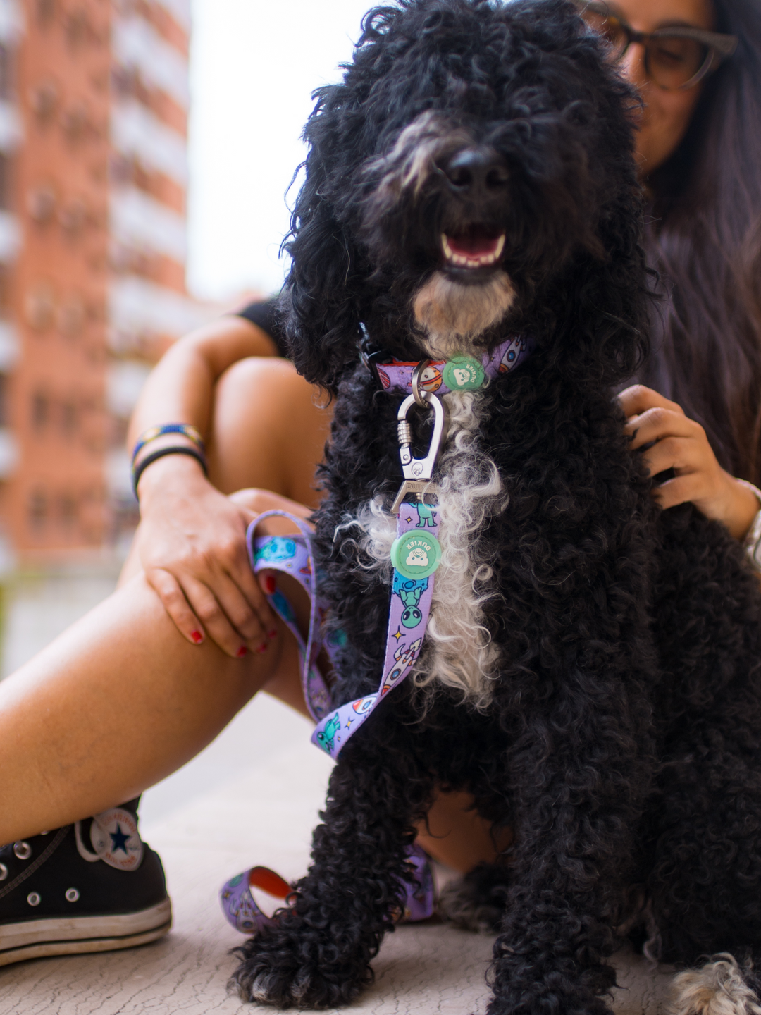 COLLIER ALIEN POUR CHIEN