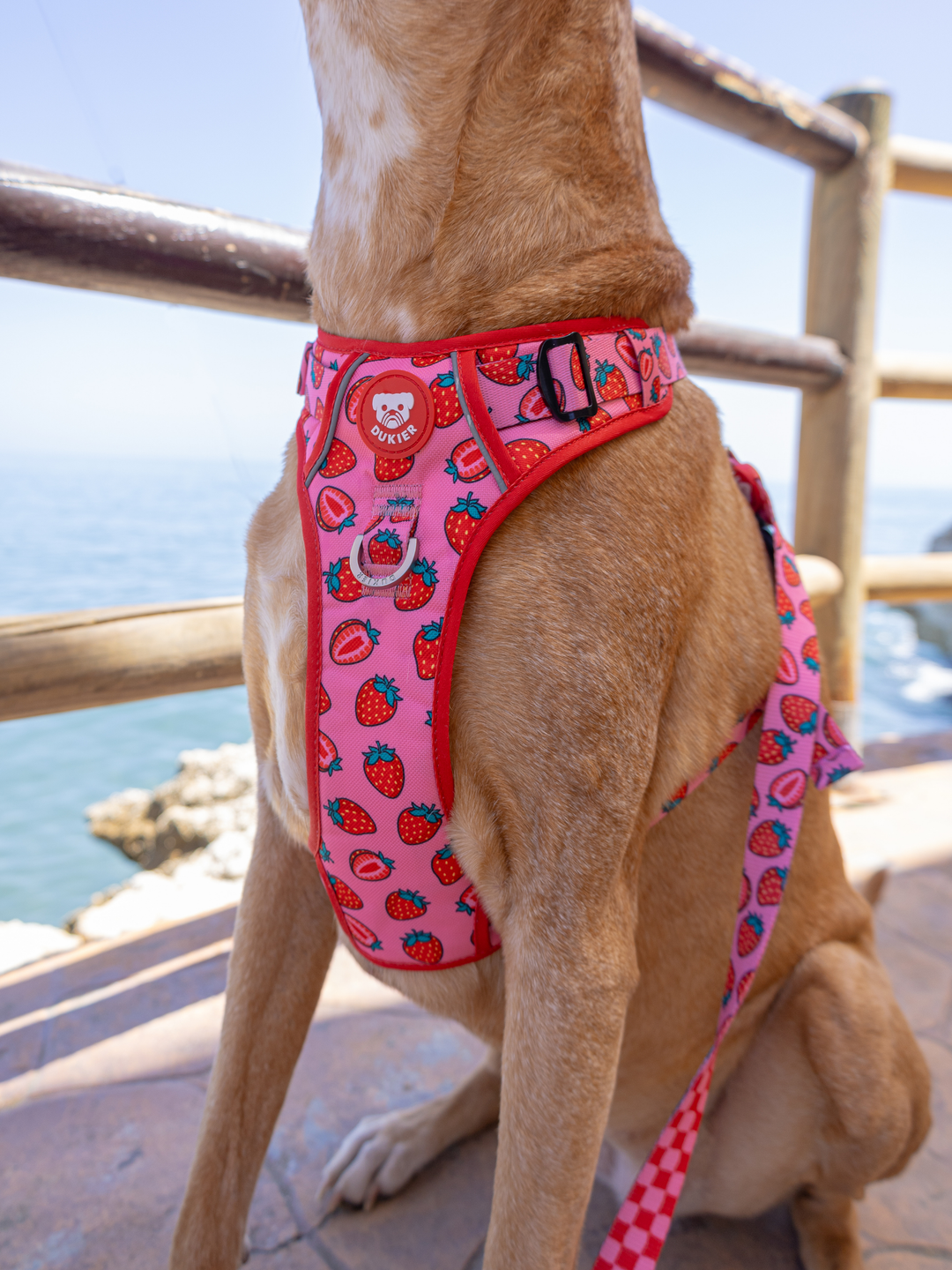 TRAIL DOG HARNESS BERRY LOVE