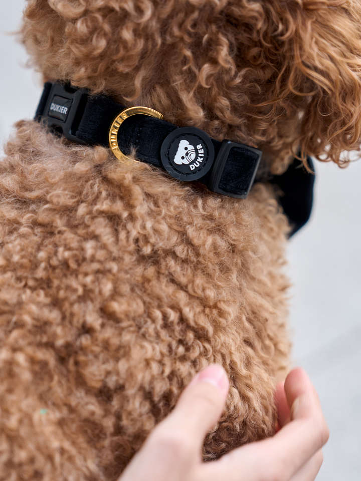 VELVET RED DOG COLLAR