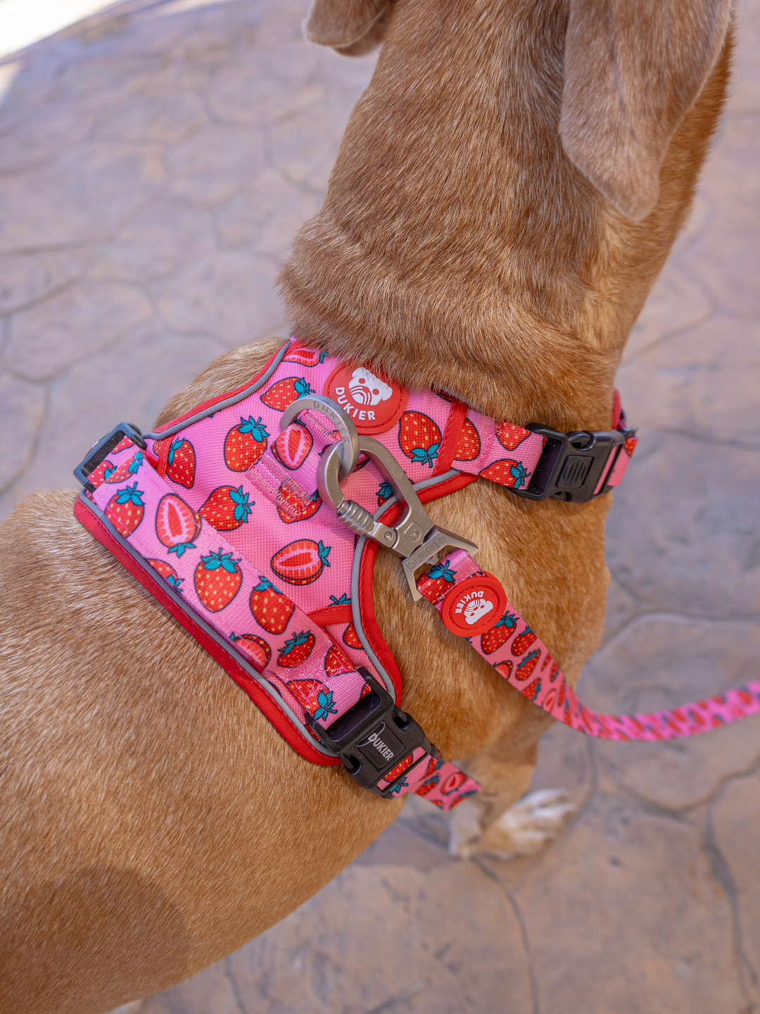 TRAIL DOG HARNESS BERRY LOVE