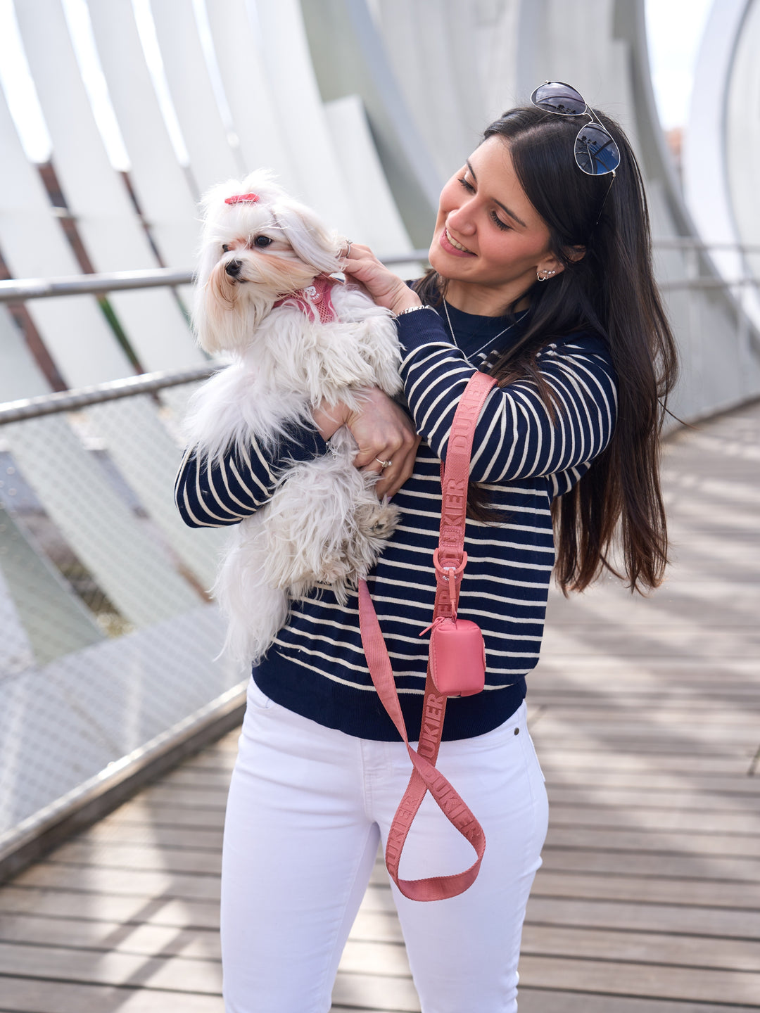 LAISSE TERRACOTA POUR CHIEN