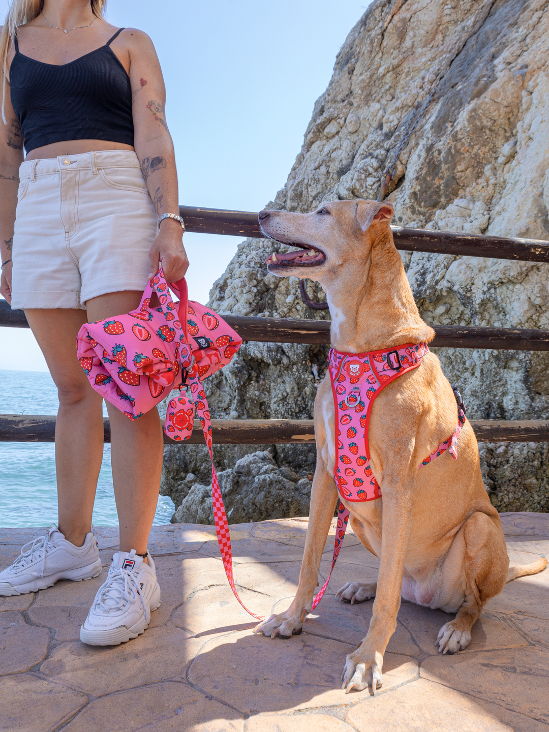 TRAIL DOG HARNESS BERRY LOVE