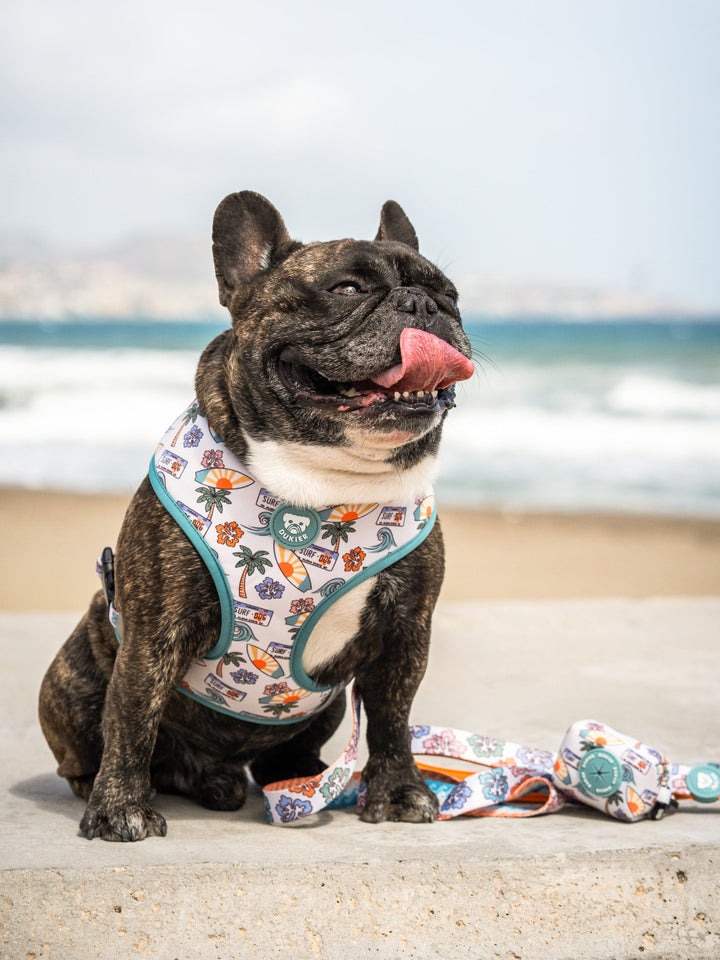 HARNAIS REVERSIBLE HAWAII POUR CHIEN