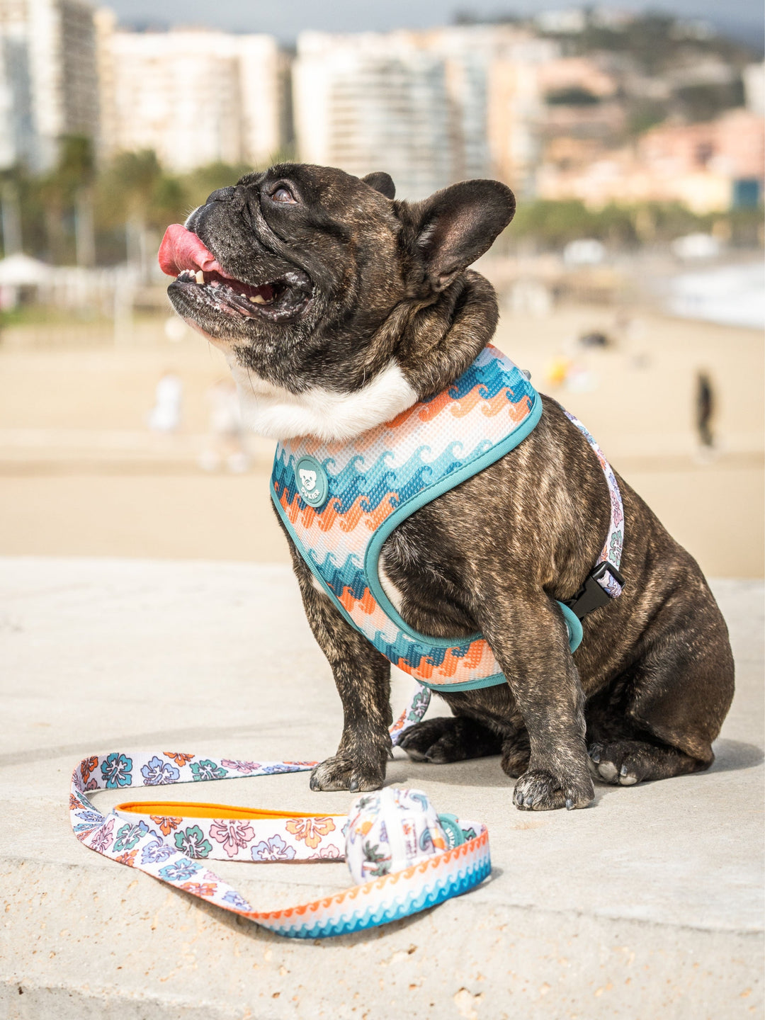 HAWAII REVERSIBLE DOG HARNESS