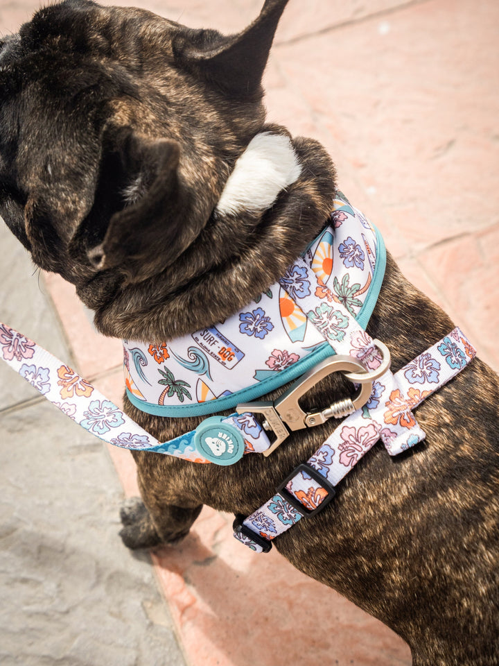 HARNAIS REVERSIBLE HAWAII POUR CHIEN