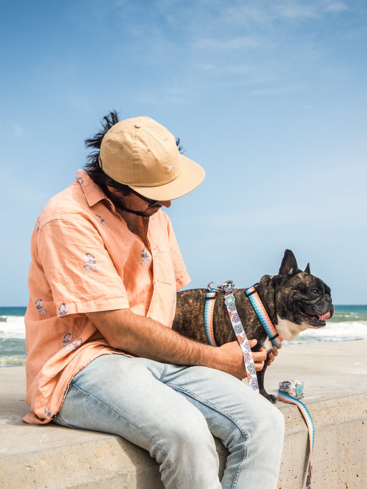 KLASSISCHES HUNDEGESCHIRR HAWAII