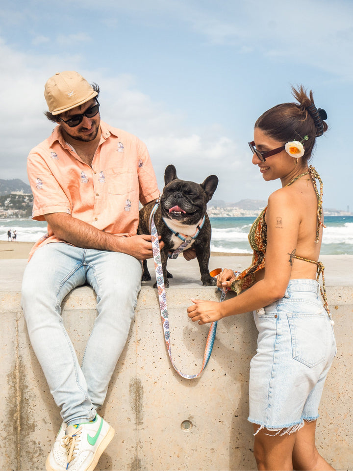 HAWAII CLASSIC DOG HARNESS