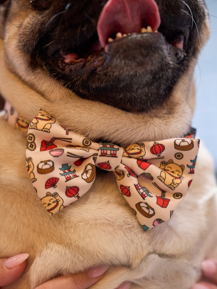 ASIAN BOW TIE FOR DOGS