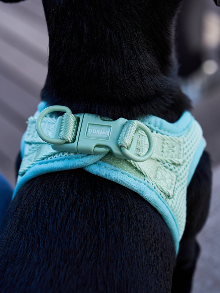 DOG BODY HARNESS SOFT GREEN