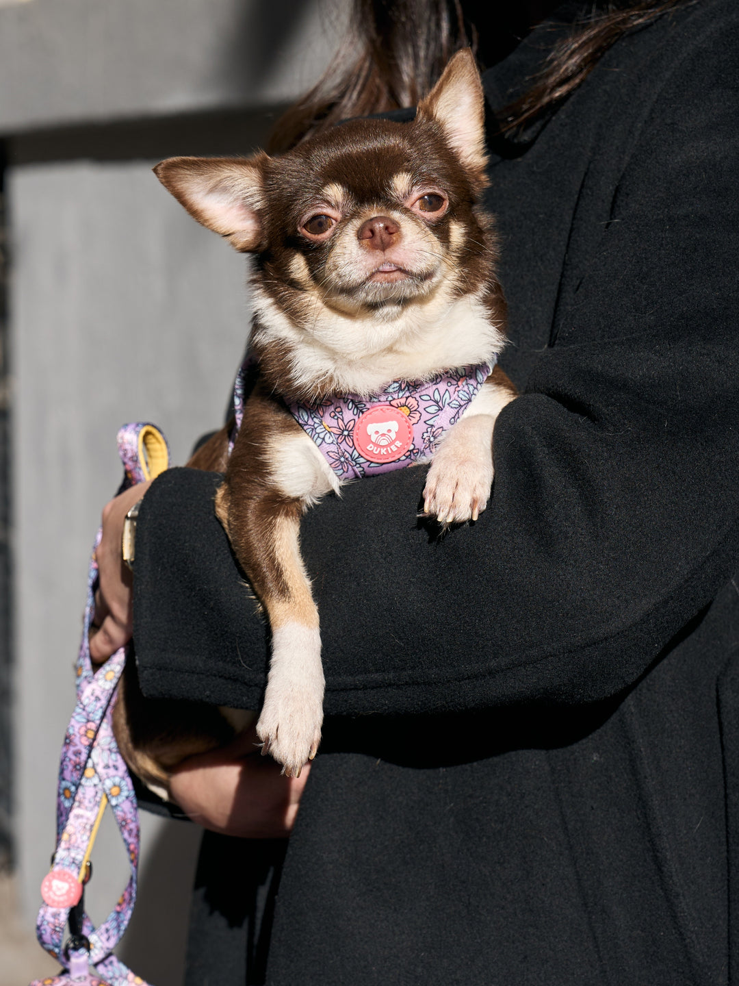 DOG BODY HARNESS FLOWER POWER