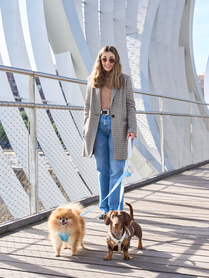 CLASSIC DOG HARNESS BEIGE