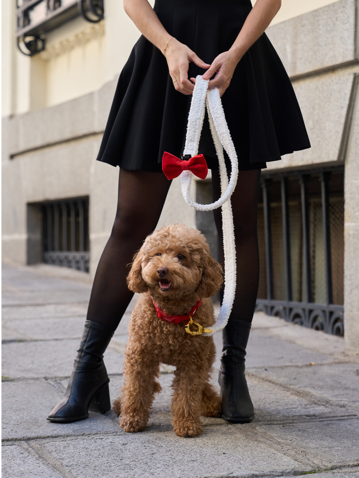 COLLAR PARA PERRO VELVET RED