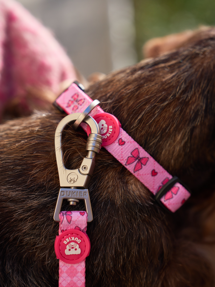 COLLIER COQUETTE POUR CHIEN