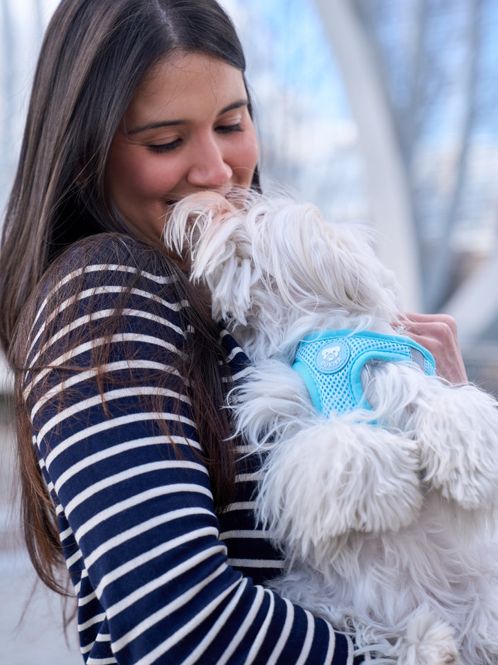 DOG BODY HARNESS SOFT BLUE