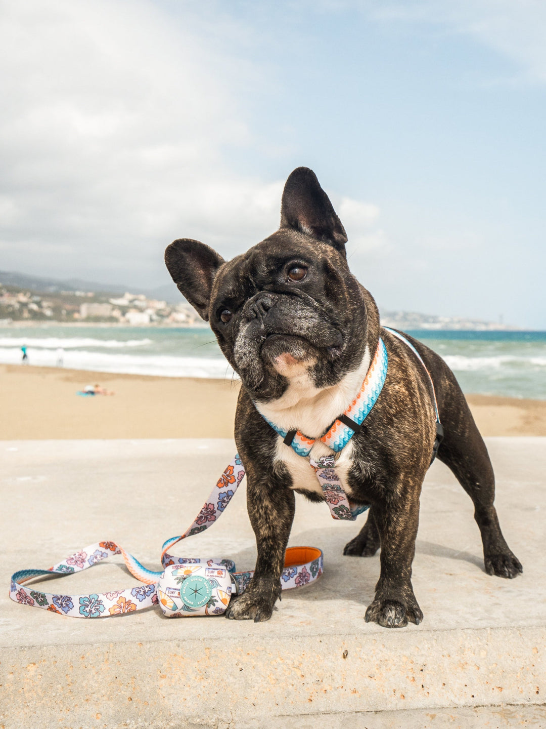 ARNÊS CLÁSSICO PARA CÃES HAWAII