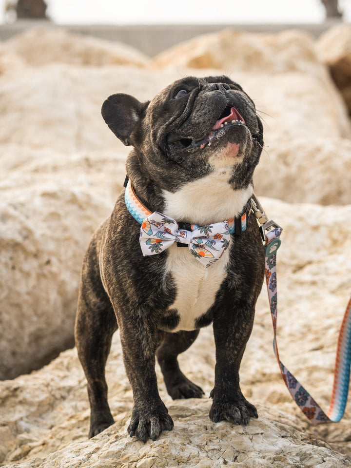 HAWAII BOW TIE FOR DOGS