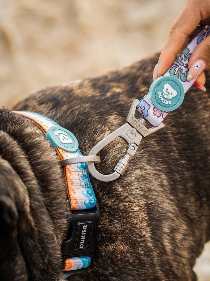 HAWAII DOG COLLAR