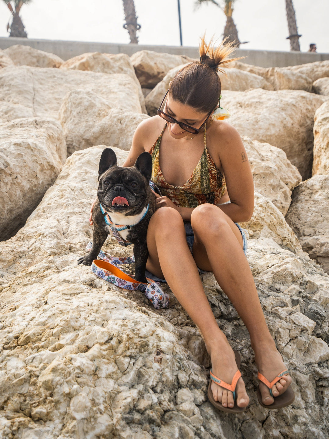 HAWAII CLASSIC DOG HARNESS