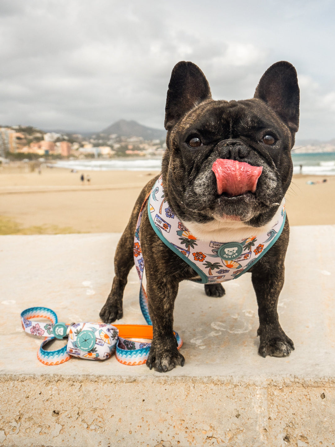 HAWAII REVERSIBLE DOG HARNESS