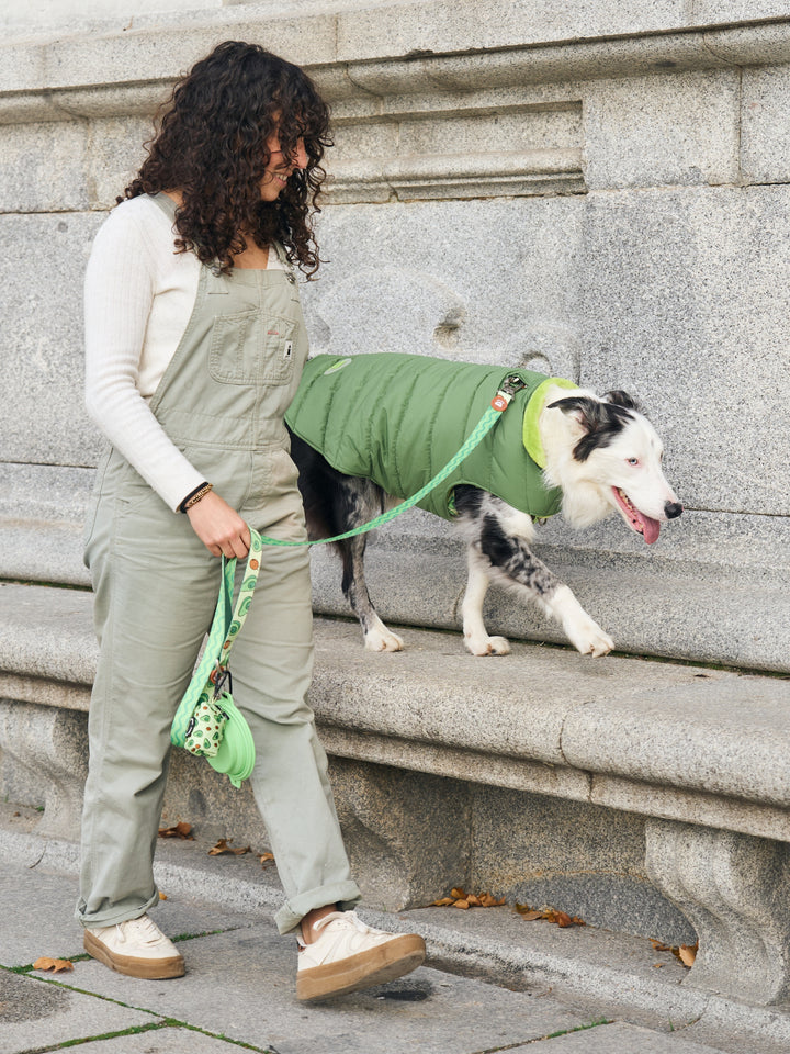 DOG COAT GREEN