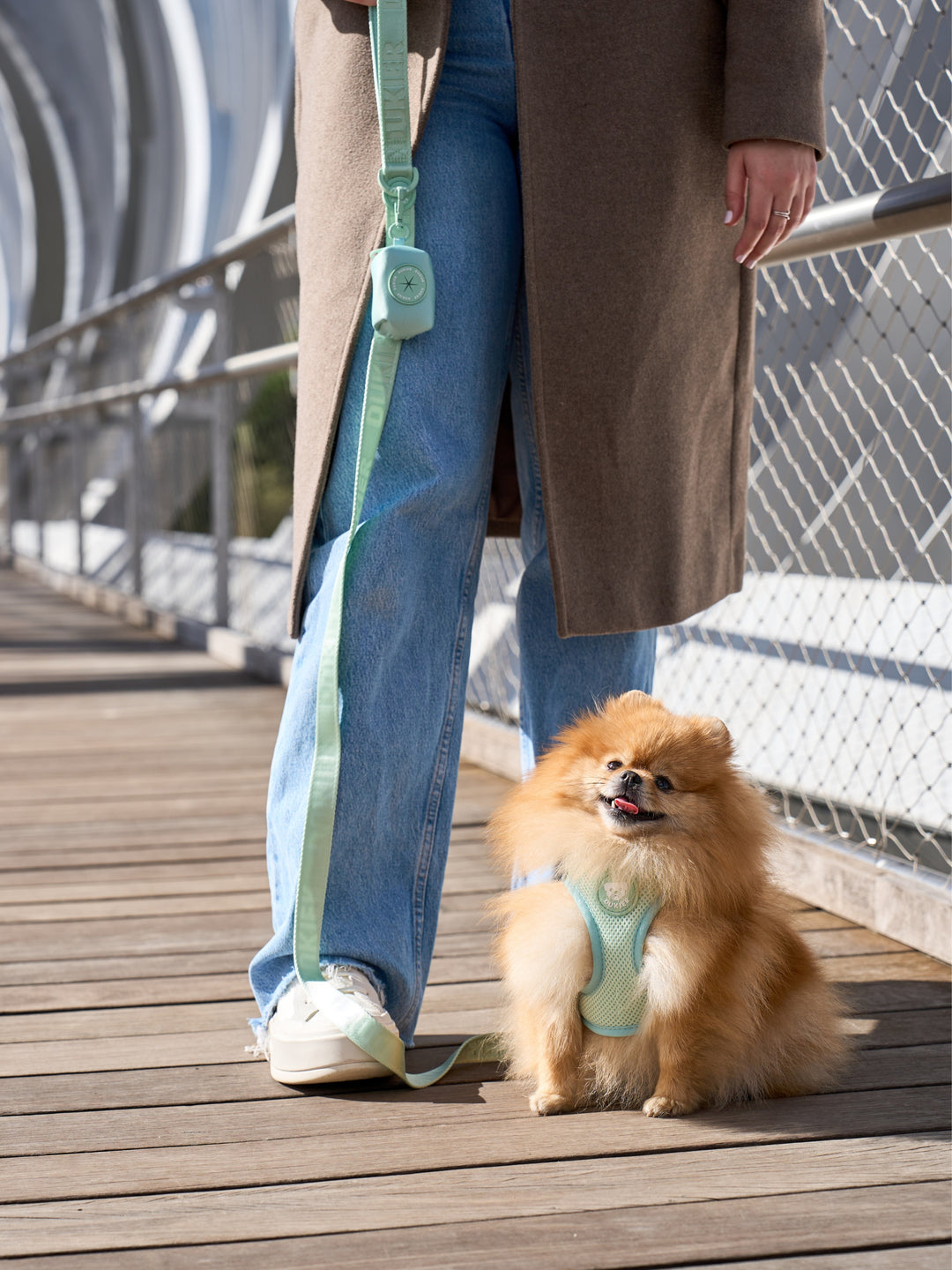 DOG BODY HARNESS SOFT GREEN