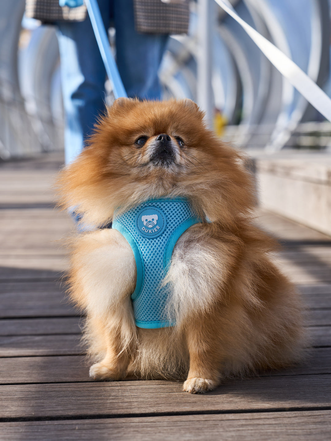 DOG BODY HARNESS SOFT BLUE