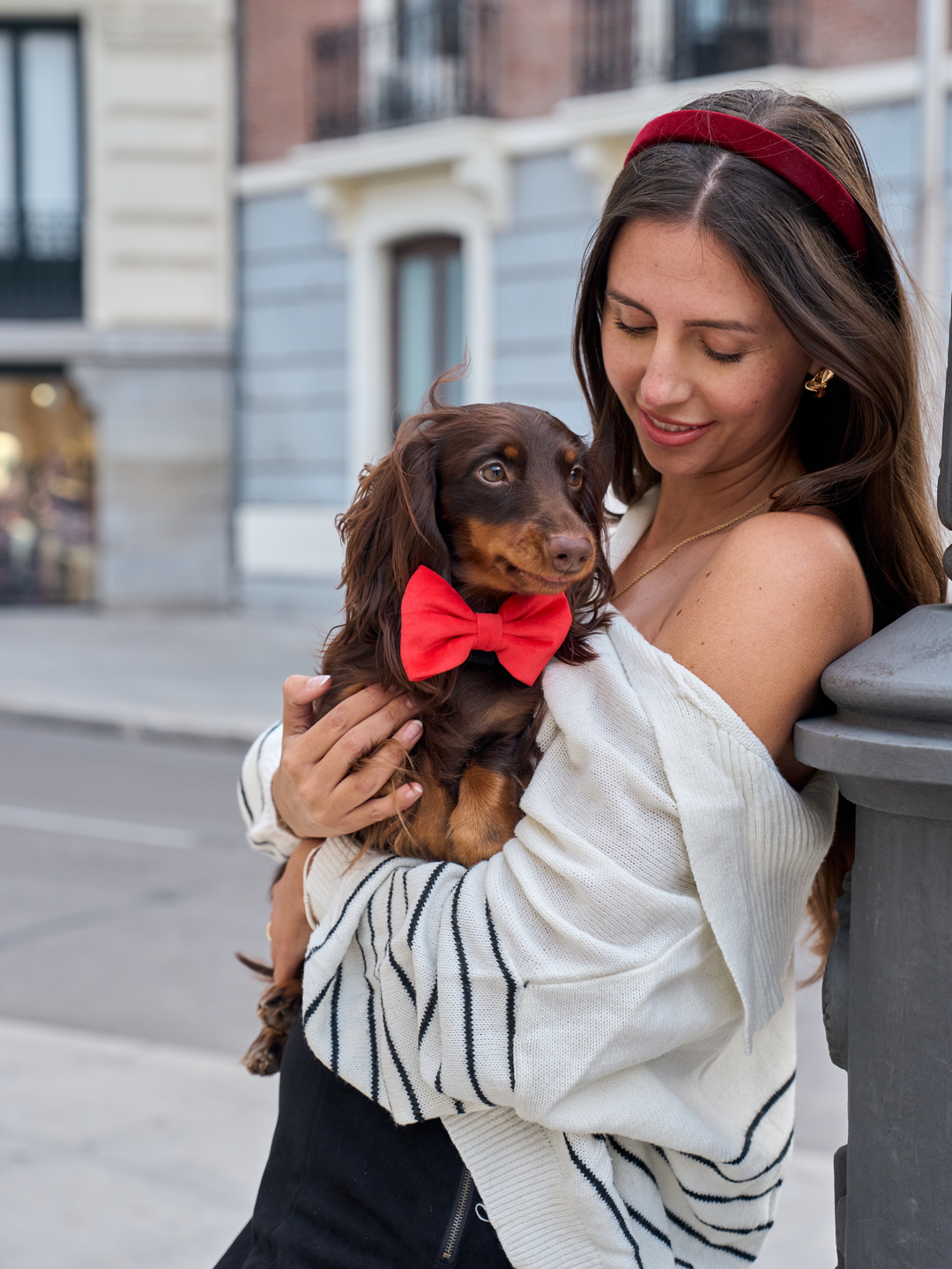 VELVET RED BOW TIE FOR DOGS