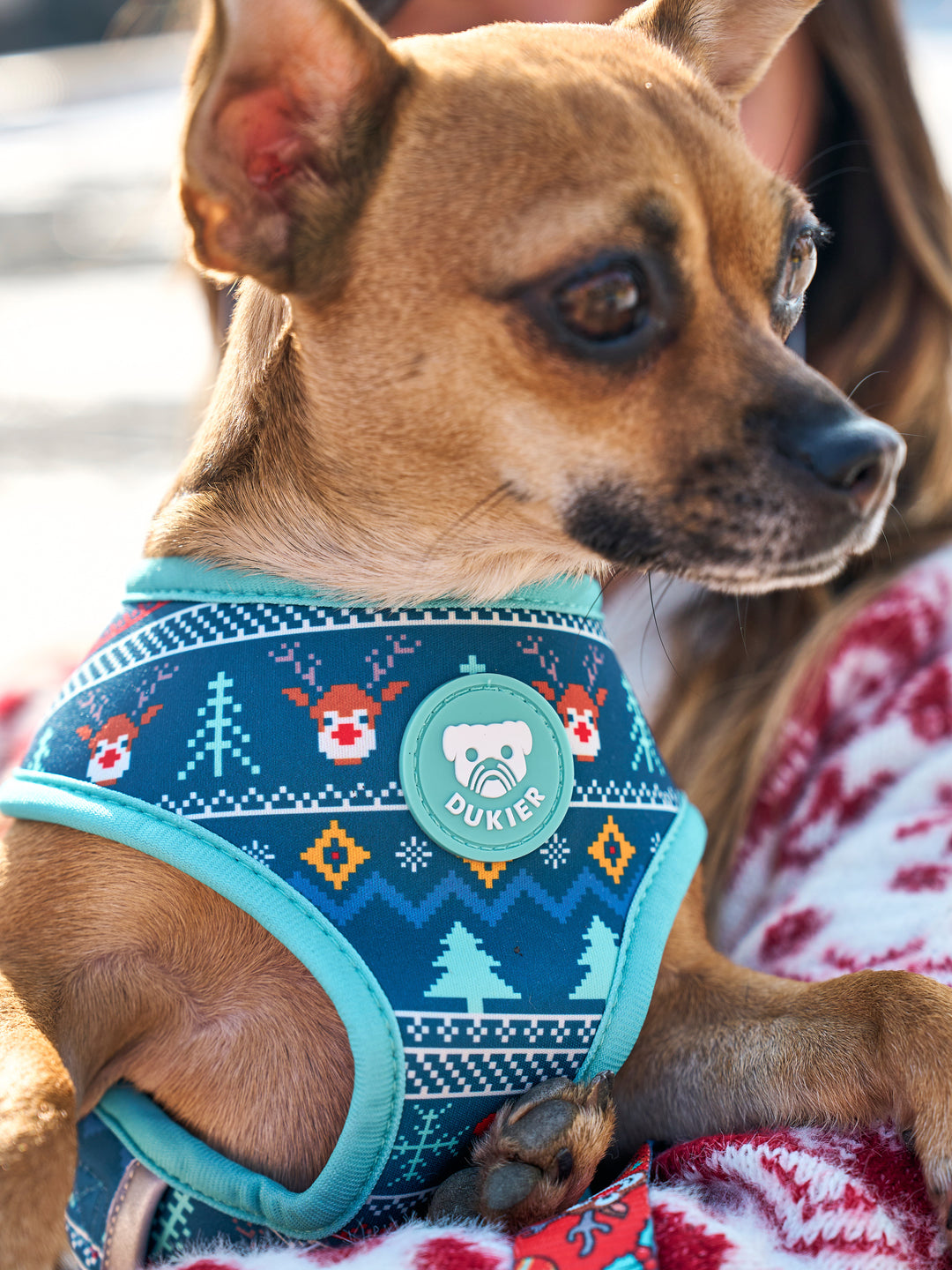 XMAS JUMPER REVERSIBLE DOG HARNESS