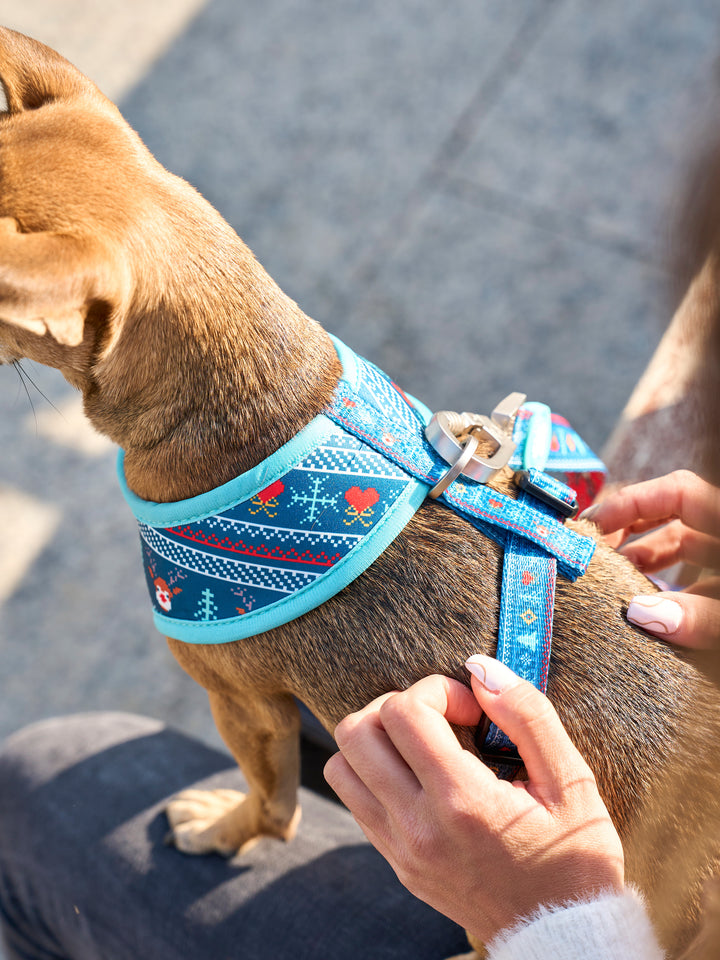 XMAS JUMPER REVERSIBLE DOG HARNESS