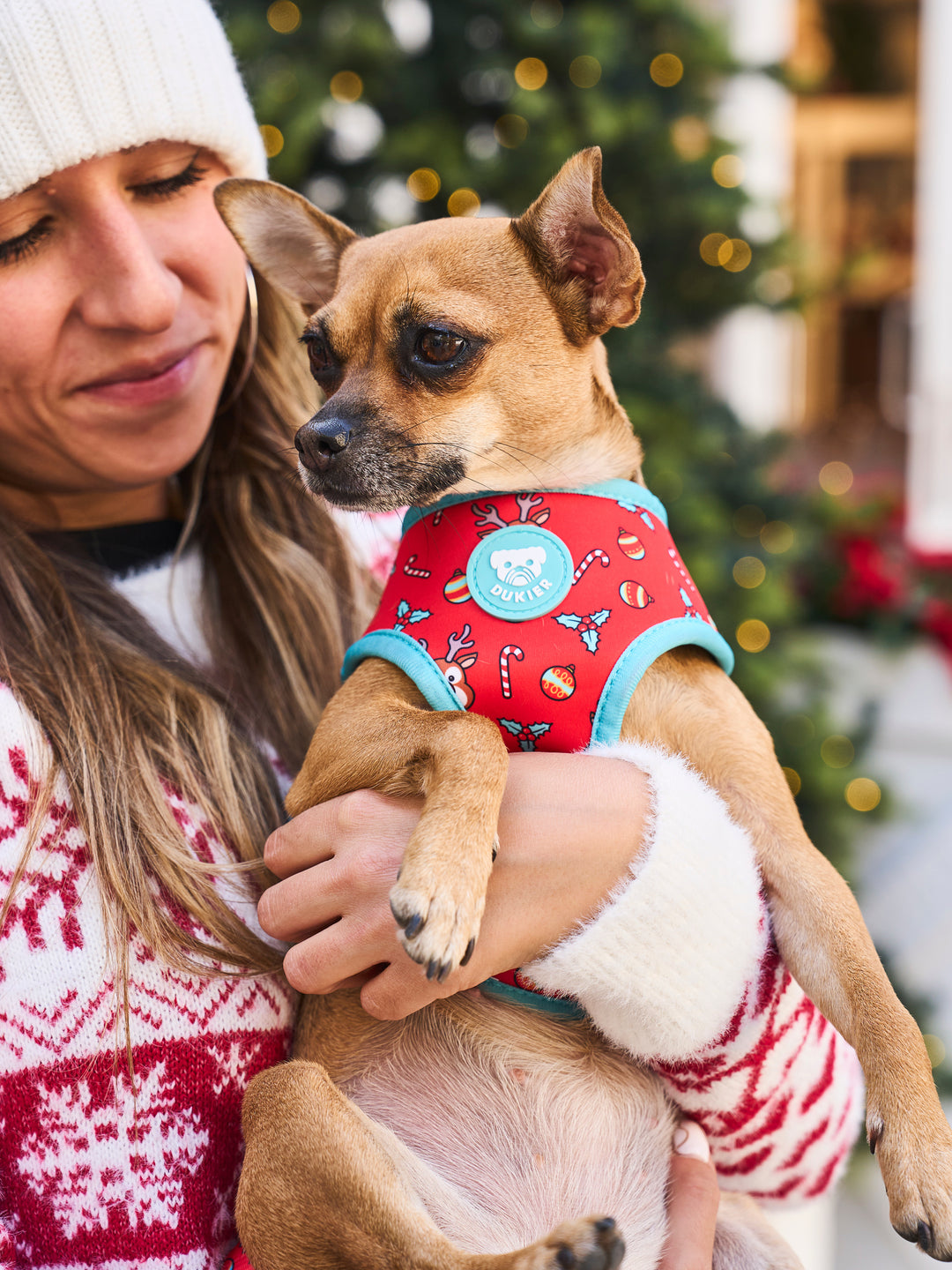 XMAS JUMPER REVERSIBLE DOG HARNESS