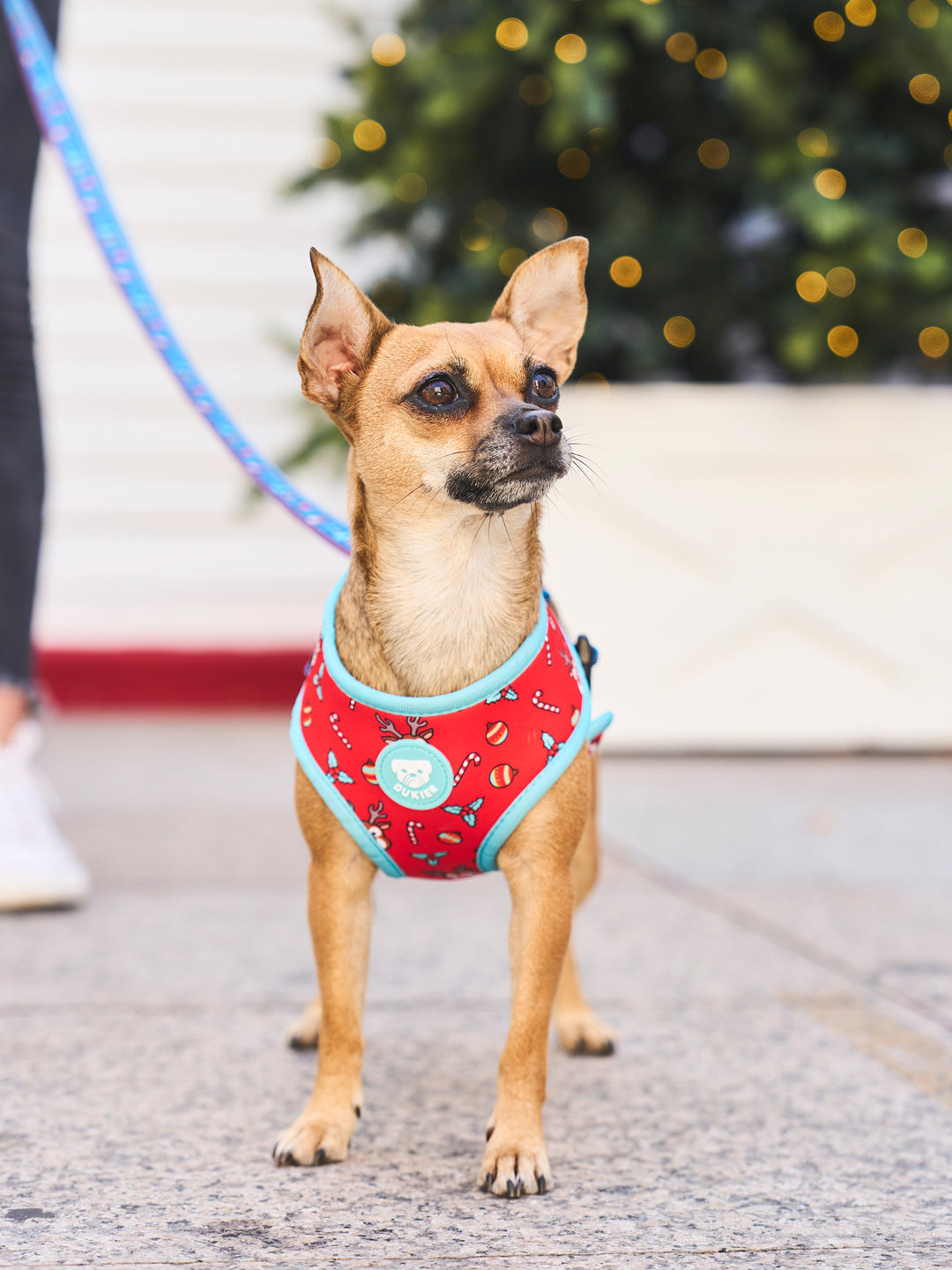 XMAS JUMPER REVERSIBLE DOG HARNESS